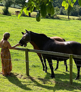 WhatsApp Image 2025-05-08 at 13.13.11 (1).jpeg