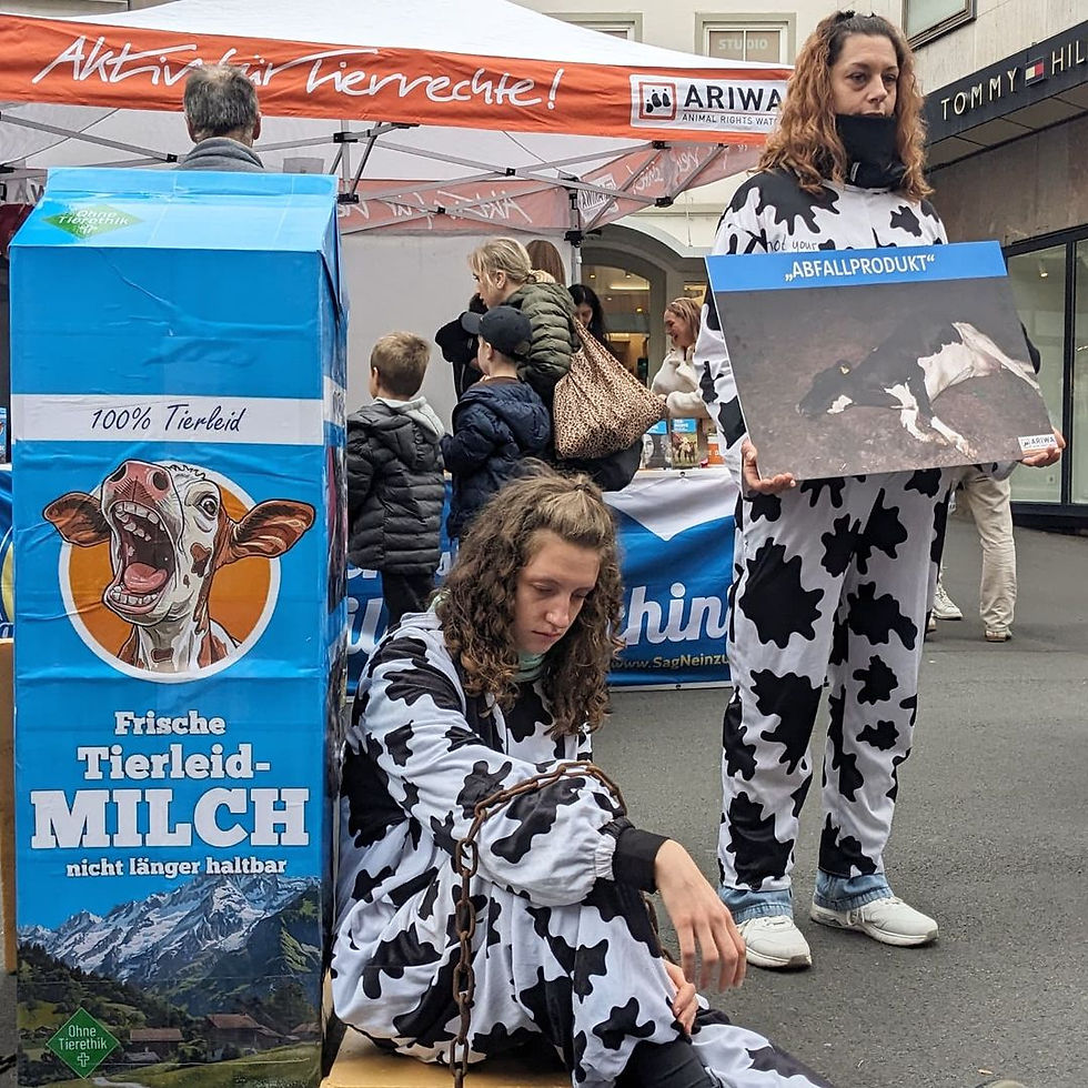 Sag Nein zu Milch! - 26.10.2024