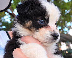 829453713_122145012585161908_8776324885190326991_n.jpg