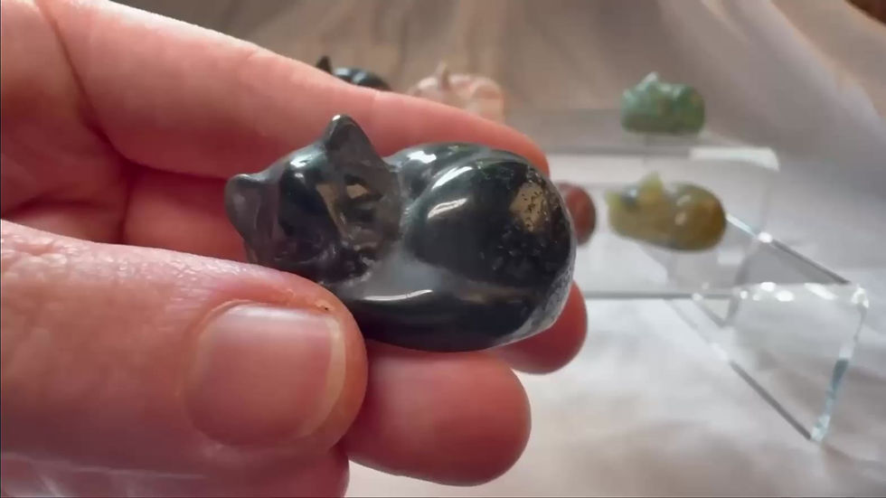 Thumbnail: Sleeping Cat