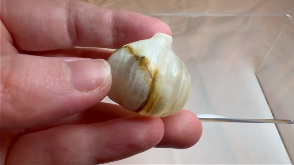 Thumbnail: Pumpkin Carving Small
