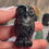 Thumbnail: Owl Carving Small