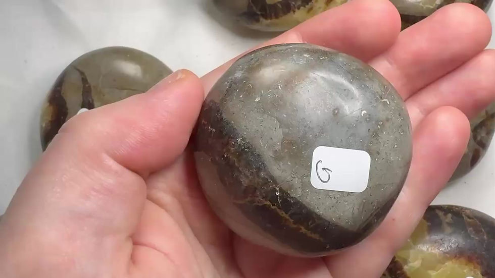Thumbnail: Septarian Palm stone