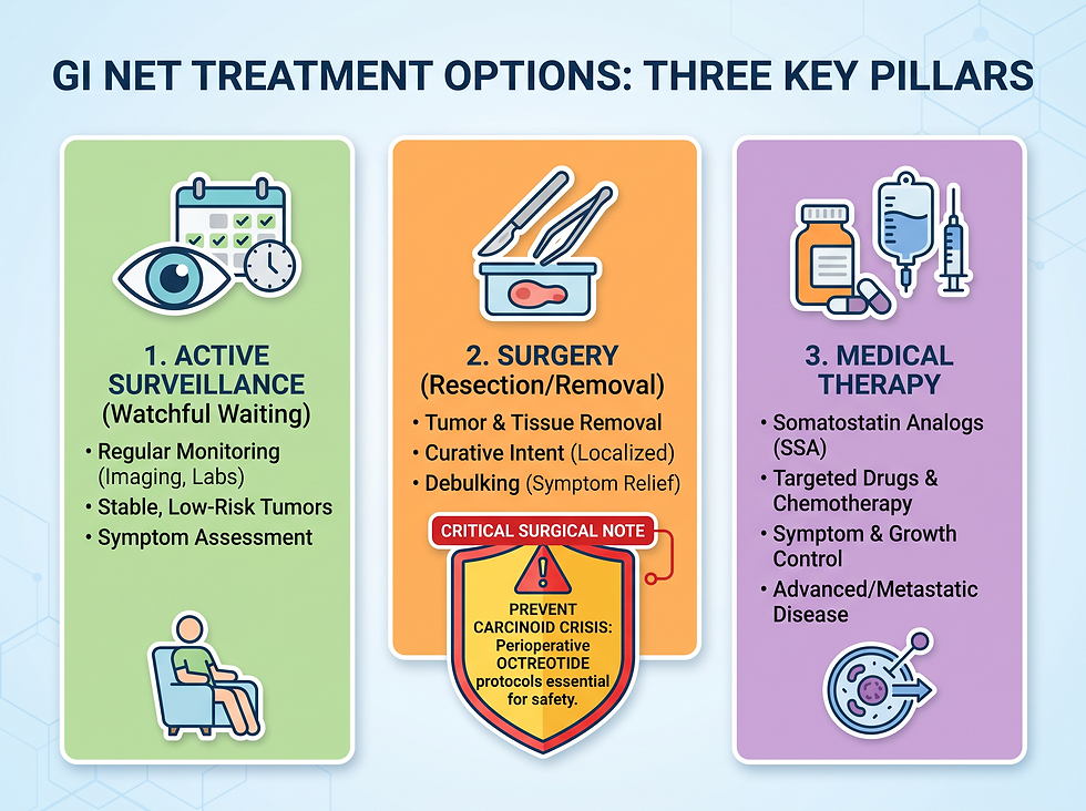 GI NETs Treatment Landscape: Surveillance vs. Surgery vs. Medical Therapy Visual