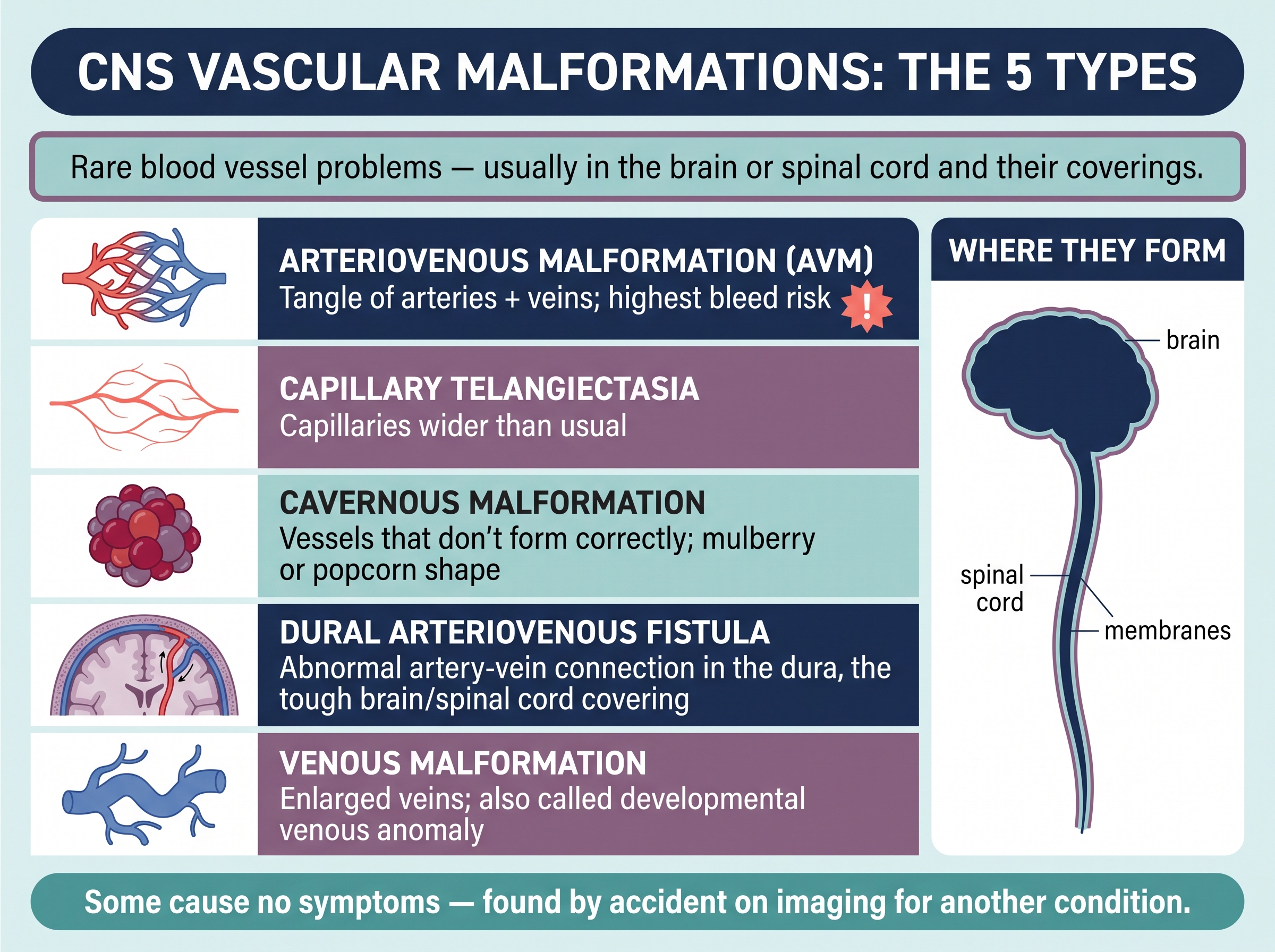 The five types of central nervous system vascular malformations compared