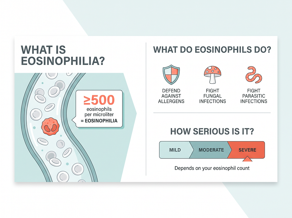 What is eosinophilia — the definition, severity levels and where eosinophils come from