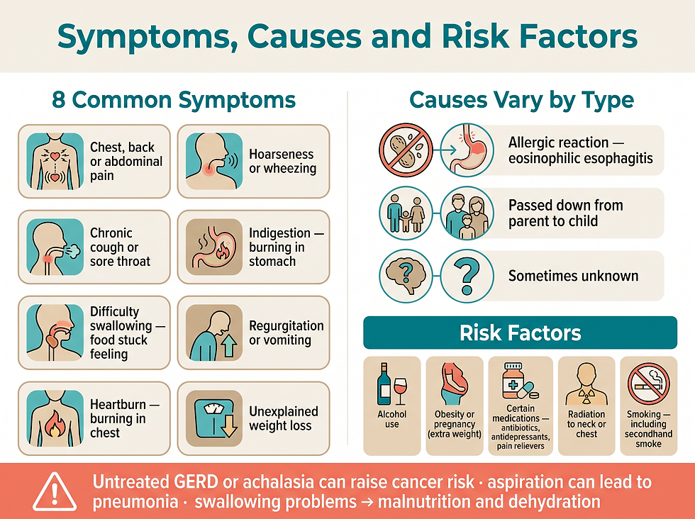 Esophageal disorders symptoms, causes and risk factors chart