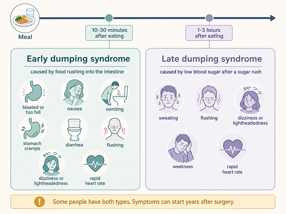Timeline starting at a meal with two symptom zones: early dumping syndrome at 10-30 minutes after eating (caused by food rushing into the intestine: bloated or too full, nausea, vomiting, stomach cramps, diarrhea, flushing, dizziness or lightheadedness, rapid heart rate) and late dumping syndrome at 1-3 hours after eating (caused by low blood sugar after a sugar rush: sweating, flushing, dizziness or lightheadedness, weakness, rapid heart rate), with a note that some people have both types and symptoms can start years after surgery.