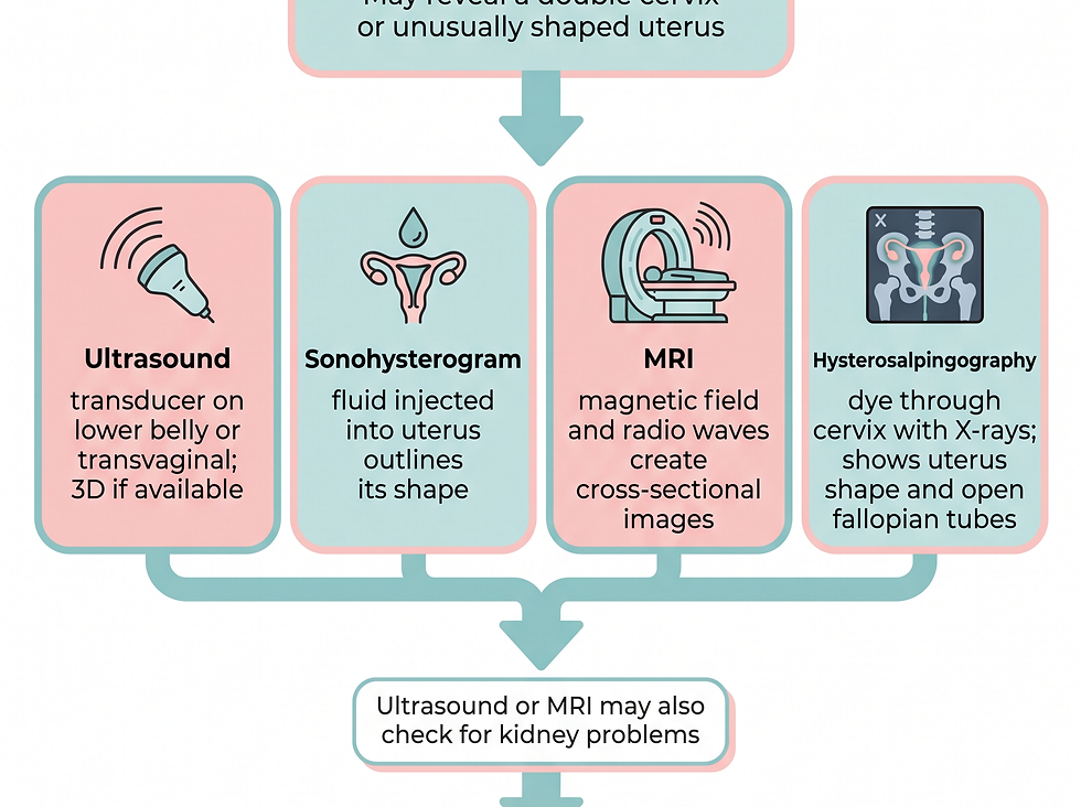 Double uterus diagnosis and treatment pathway: pelvic exam leading to four imaging tests, kidney checks, and when surgery may help