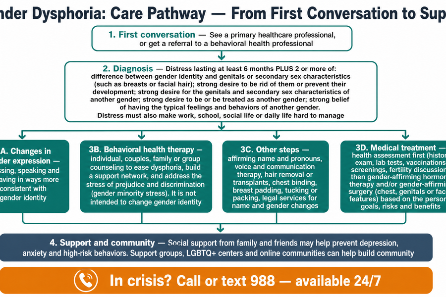 Gender dysphoria care pathway — from first conversation through diagnosis, treatment options, and support