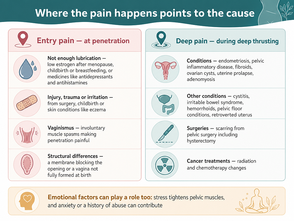Two-column comparison of dyspareunia pain locations and causes: entry pain causes and deep pain causes, with a note that emotional factors can also play a role