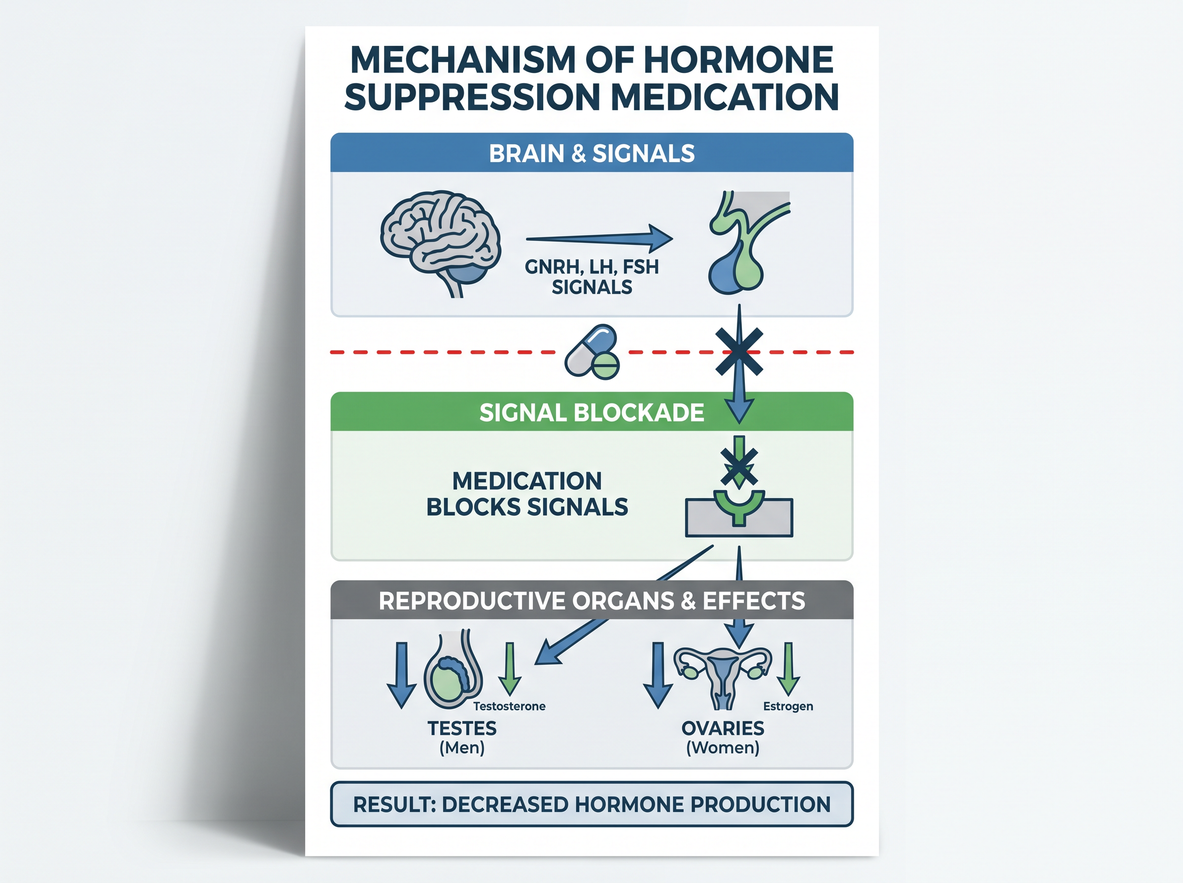 Hormone Suppression Mechanism