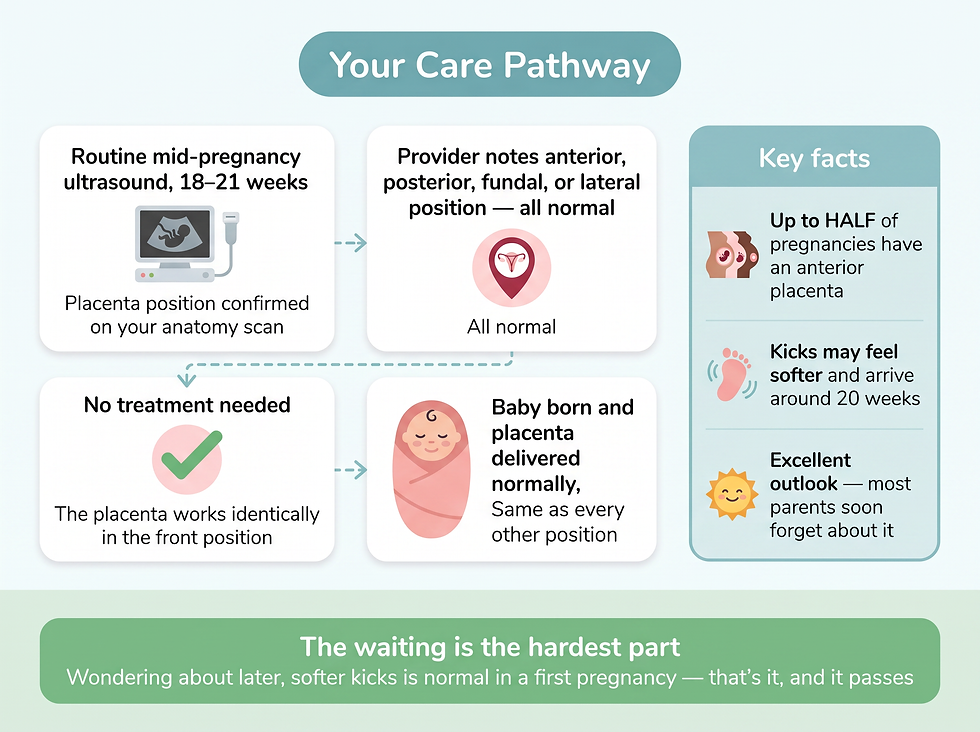 Anterior placenta care pathway: routine 18-21 week ultrasound diagnosis, no treatment needed, practical tips for feeling kicks and tracking movement, excellent outlook for mother and baby