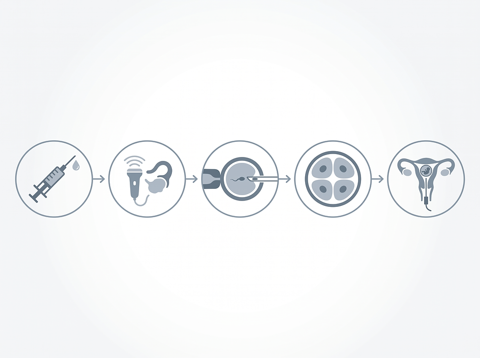 Timeline of an ICSI cycle, from initial hormonal stimulation through egg retrieval, injection, embryo development, and embryo transfer.