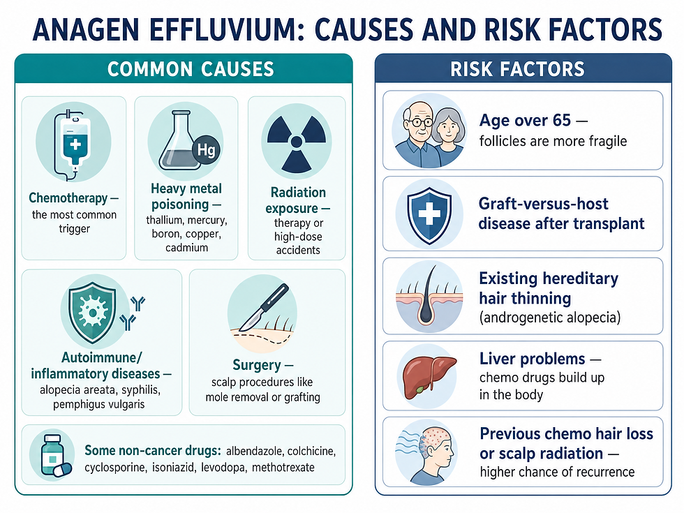 Anagen effluvium: common causes and risk factors