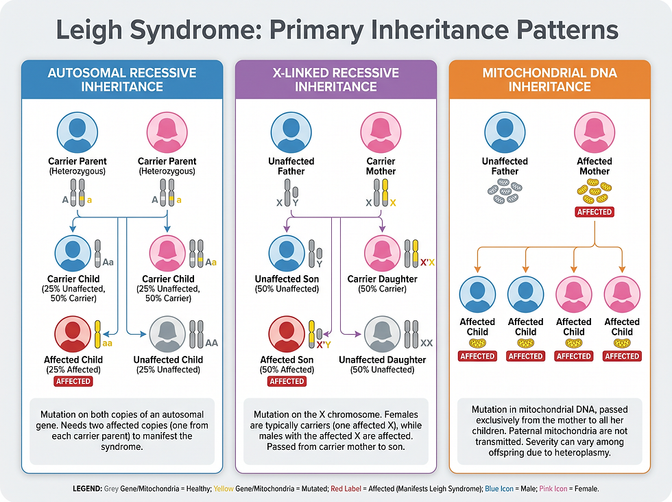 Medical infographic illustrating the three primary inheritance patterns of Leigh syndrome: autosomal recessive, X-linked recessive, and mitochondrial DNA