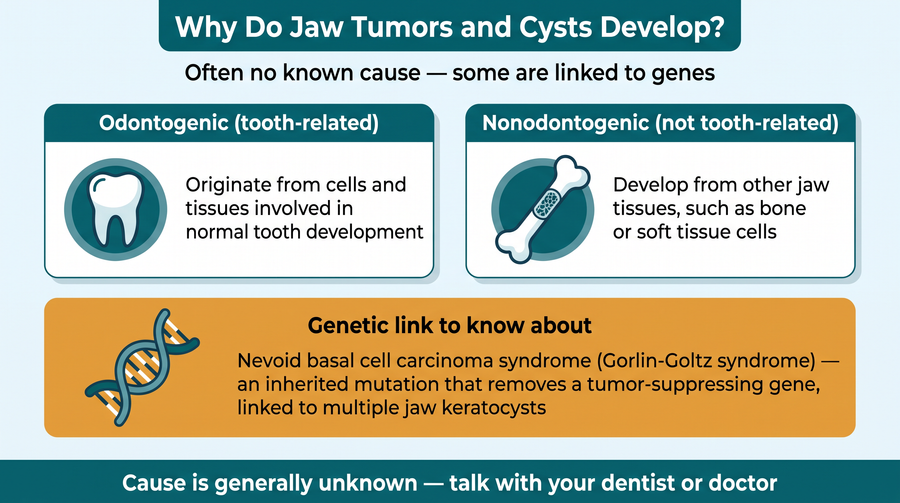 Causes of jaw tumors and cysts — odontogenic and nonodontogenic origins and genetic links
