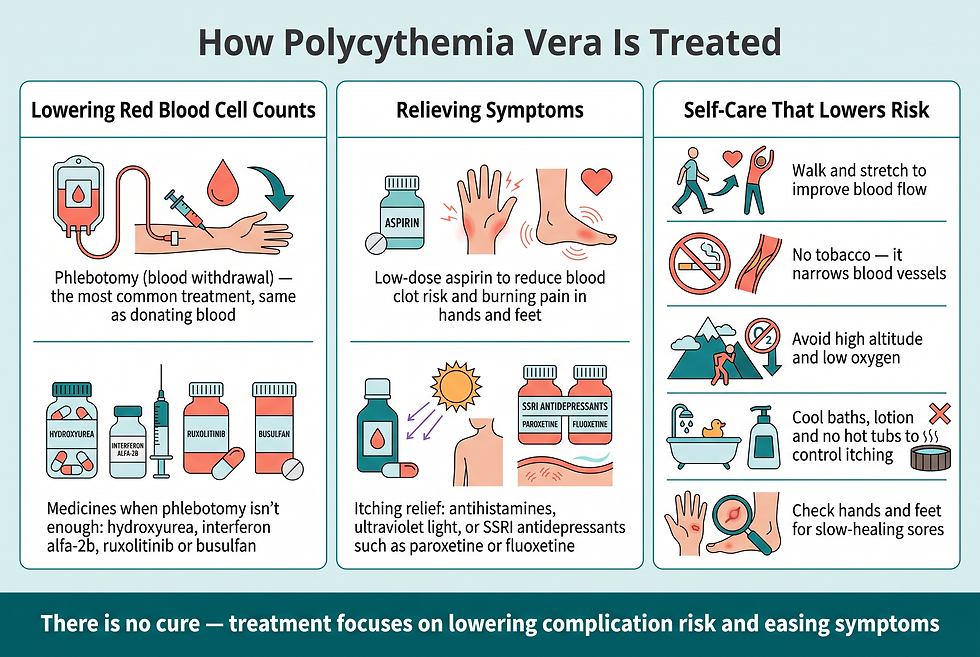 Three-column treatment infographic for polycythemia vera: column one covers lowering red blood cell counts with phlebotomy (blood withdrawal — the most common treatment, same as donating blood) and medicines when phlebotomy is not enough (hydroxyurea, interferon alfa-2b, ruxolitinib, busulfan), column two covers symptom relief with low-dose aspirin to reduce clot risk and burning pain in hands and feet plus itching relief from antihistamines, ultraviolet light, or SSRI antidepressants such as paroxetine or fluoxetine, column three covers self-care (walking and stretching to improve blood flow, no tobacco, avoiding high altitude and low oxygen, cool baths and lotion with no hot tubs, checking hands and feet for slow-healing sores), with a banner stating there is no cure — treatment focuses on lowering complication risk and easing symptoms.