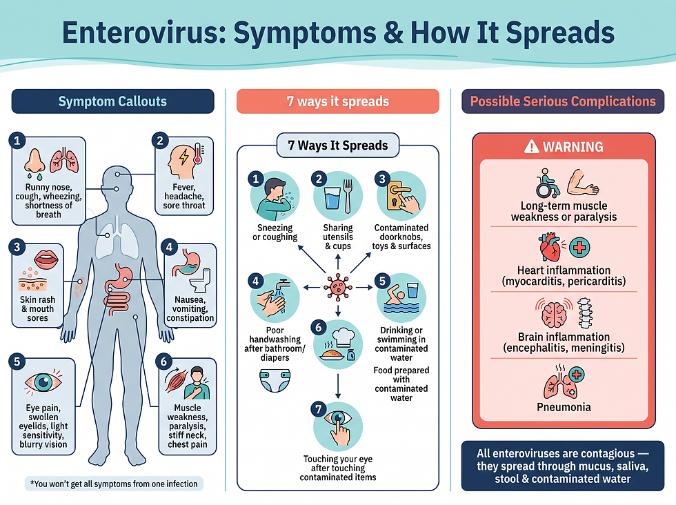 Enterovirus symptoms, the seven ways infections spread and the serious complications to watch for.