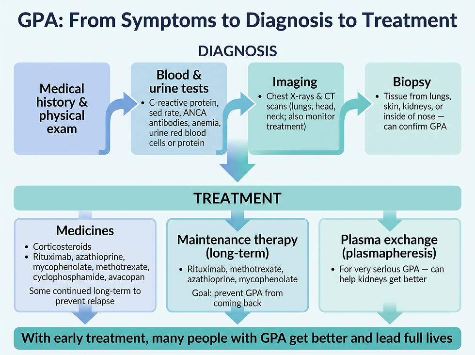 GPA diagnosis to treatment pathway: medical history and exam, blood and urine tests, imaging, biopsy, then medicines, maintenance therapy, and plasma exchange.