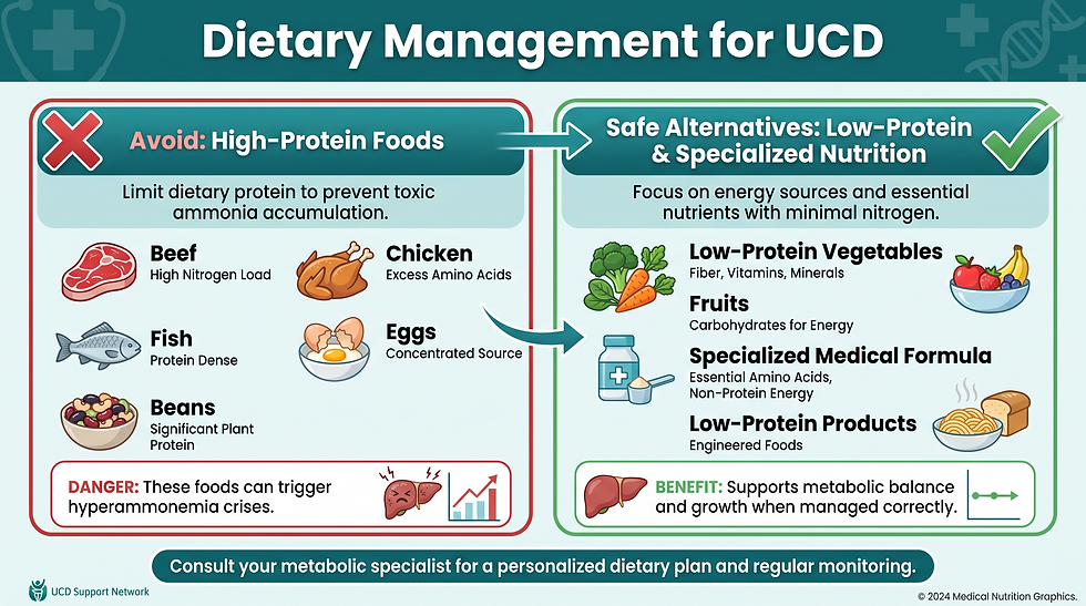 Dietary management for urea cycle disorder: high-protein foods to limit (beef, chicken, fish, eggs, beans) shown beside safer choices such as low-protein vegetables and fruits, specialized medical formula and low-protein engineered foods