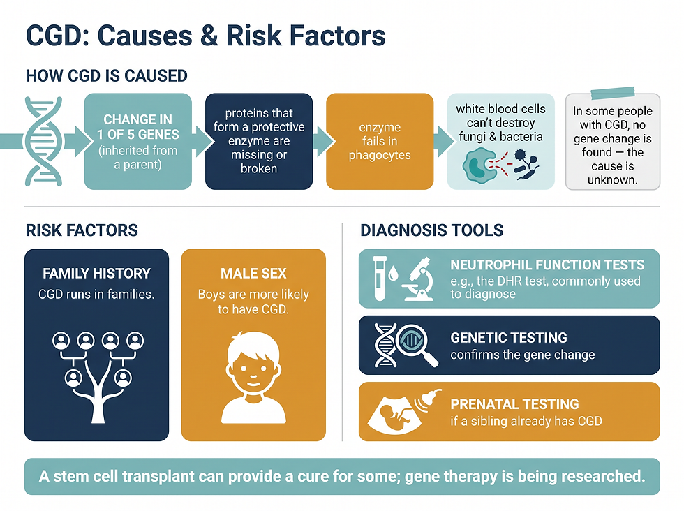 CGD causes and risk factors — the gene-to-immune-cell connection