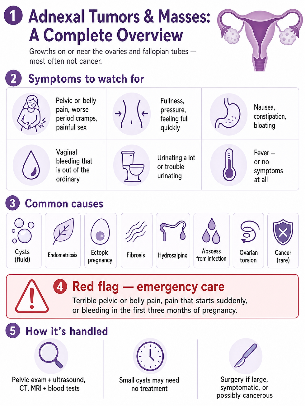 Overview infographic covering symptoms, causes, emergency warnings, and how adnexal masses are handled