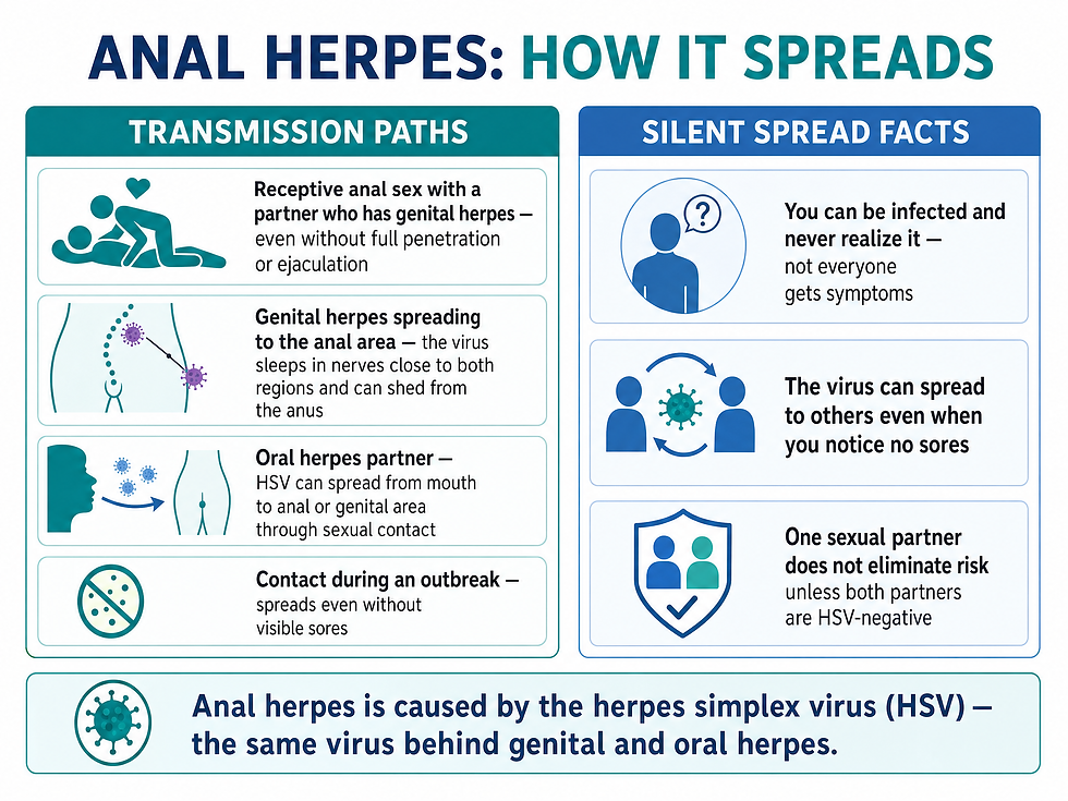 Anal herpes transmission paths and silent-spread facts