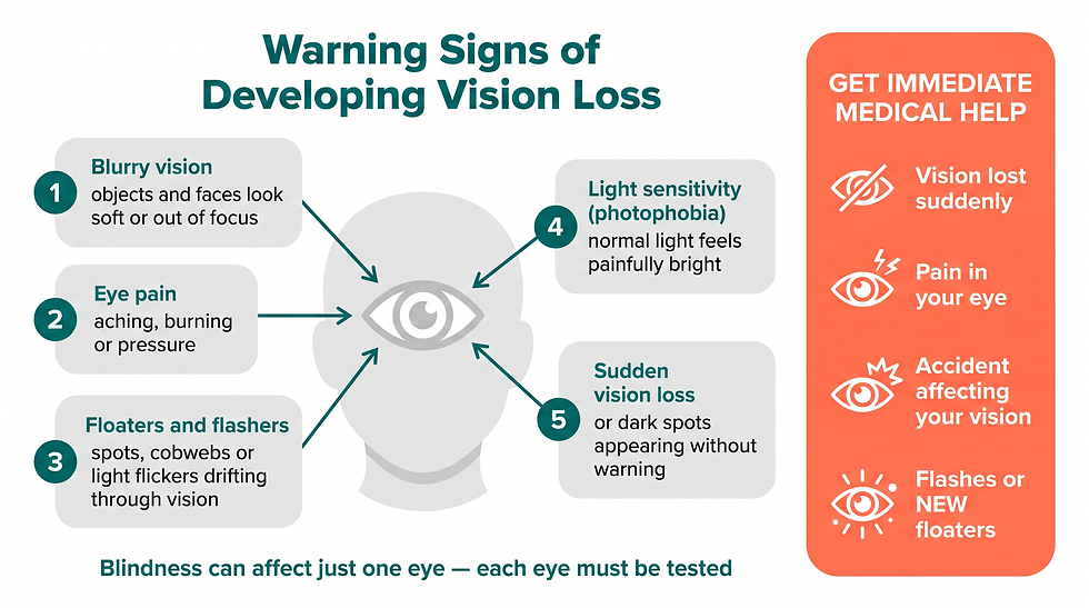 The five warning signs of developing vision loss: blurry vision, eye pain, floaters and flashers, light sensitivity and sudden vision loss or dark spots, with a panel of four situations that need immediate medical help: sudden vision loss, eye pain, an accident affecting vision, and flashes or new floaters