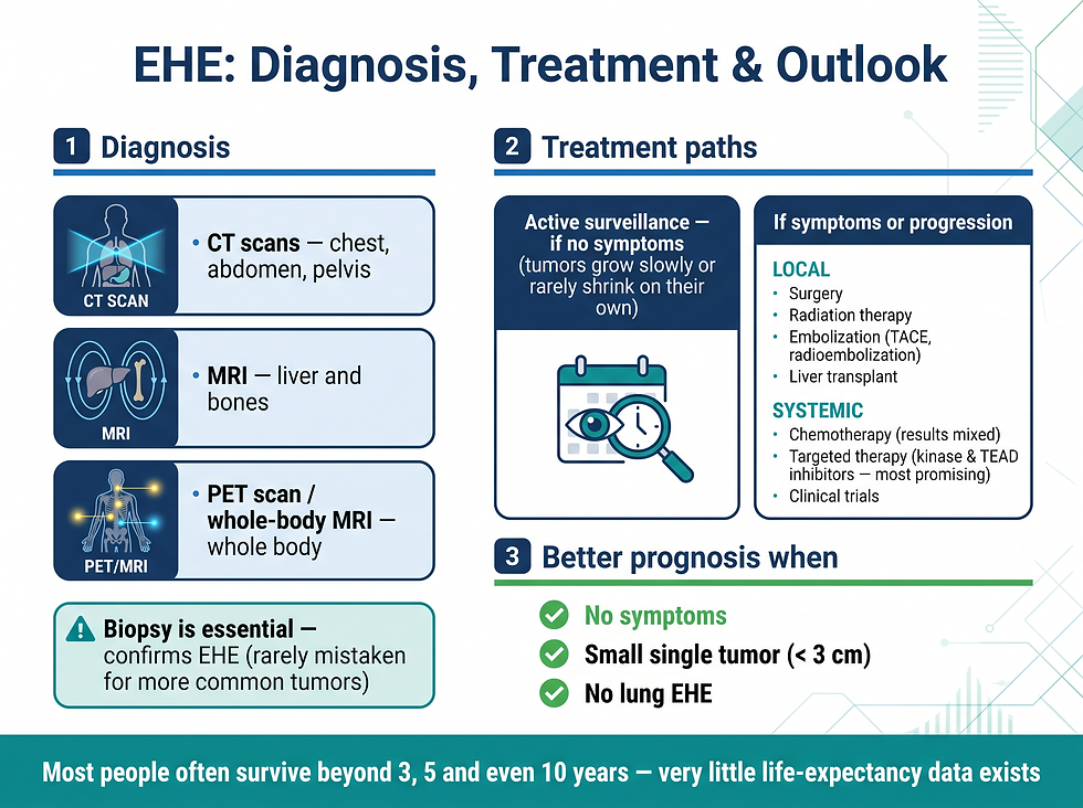 Infographic of epithelioid hemangioendothelioma diagnosis, treatment and outlook: imaging, biopsy, surgery, targeted therapy and active surveillance