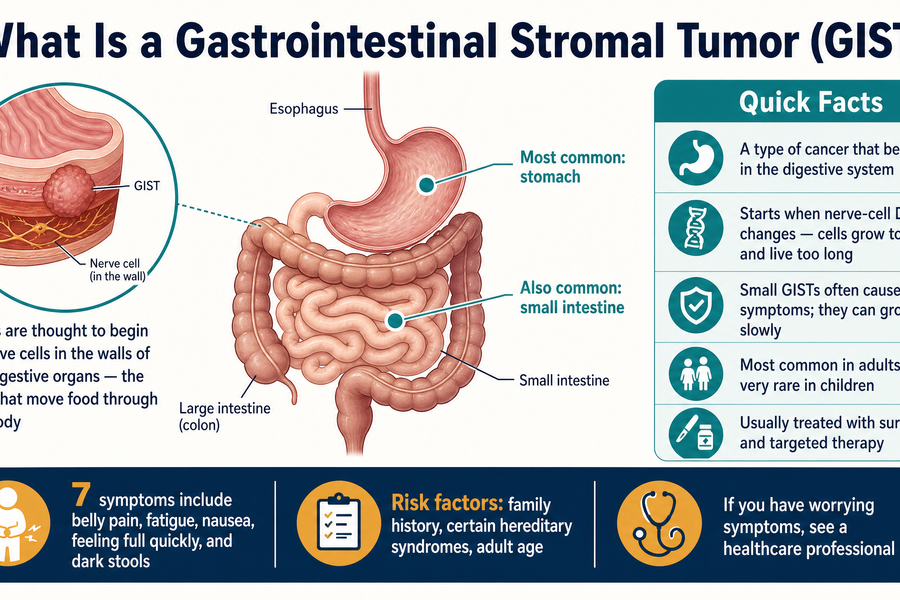 What is a gastrointestinal stromal tumor (GIST) — anatomy, where GISTs form, and quick facts
