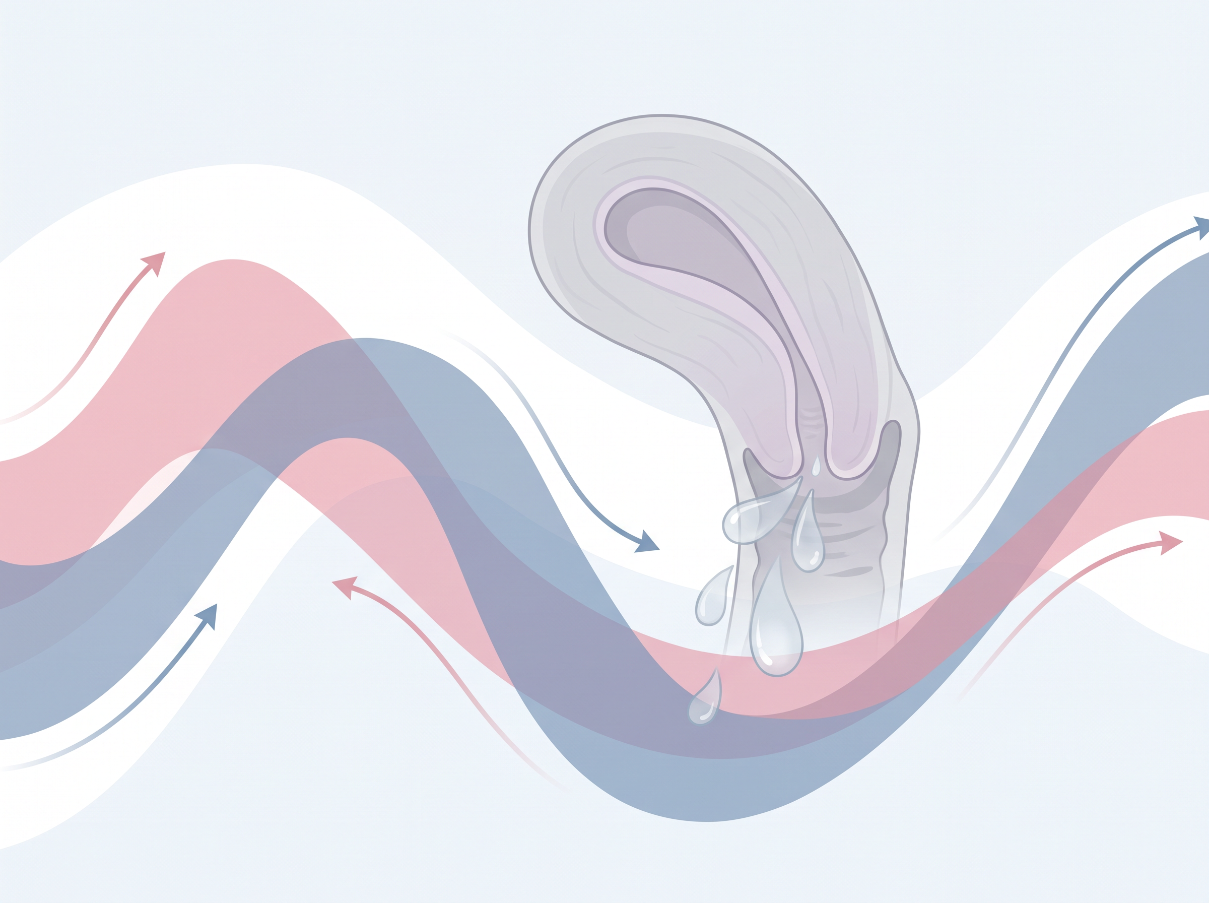 Functional illustration of how estrogen and progesterone affect cervical mucus production.