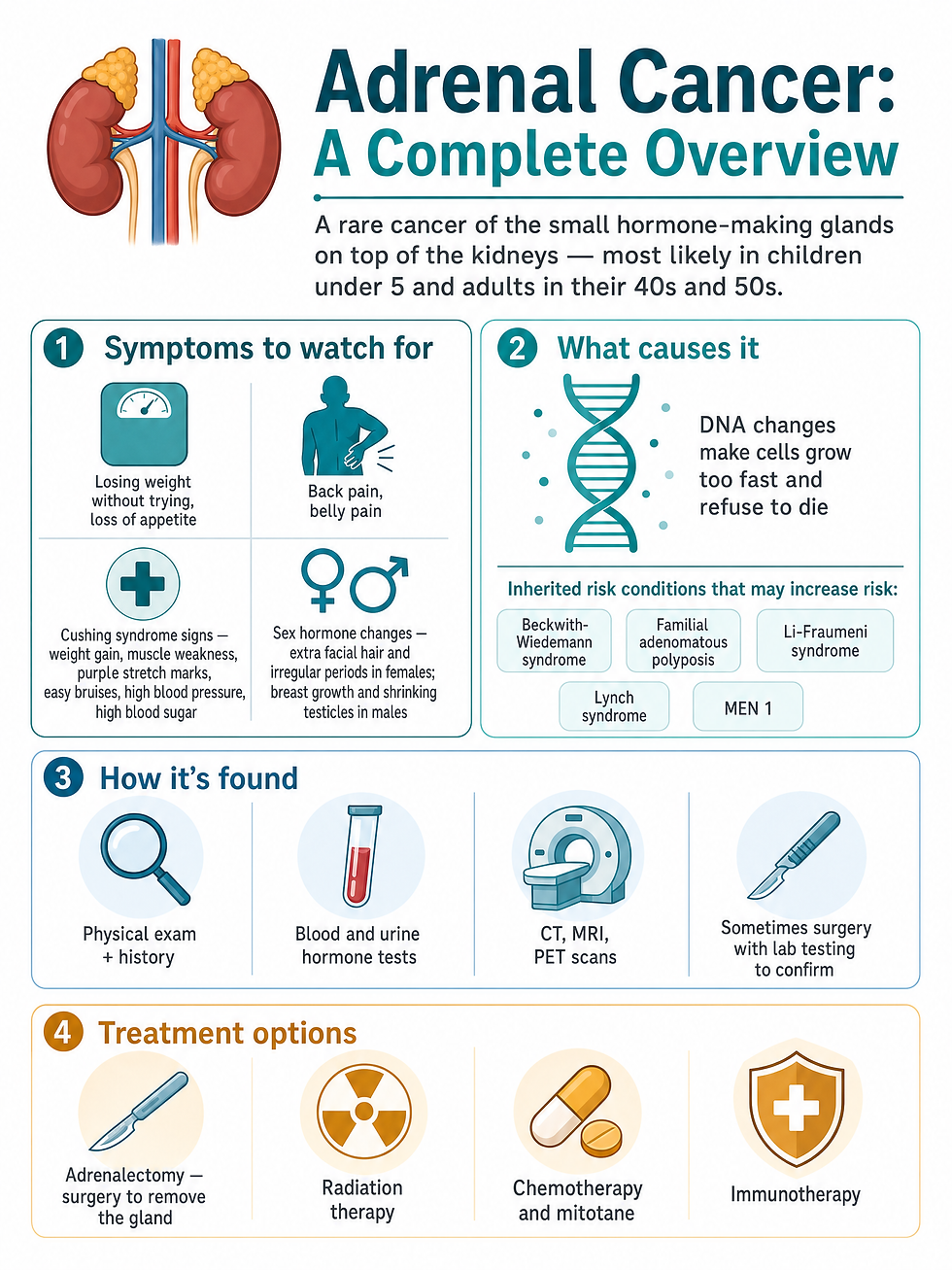 Overview infographic of adrenal cancer: symptoms, causes, diagnosis steps, and treatment options