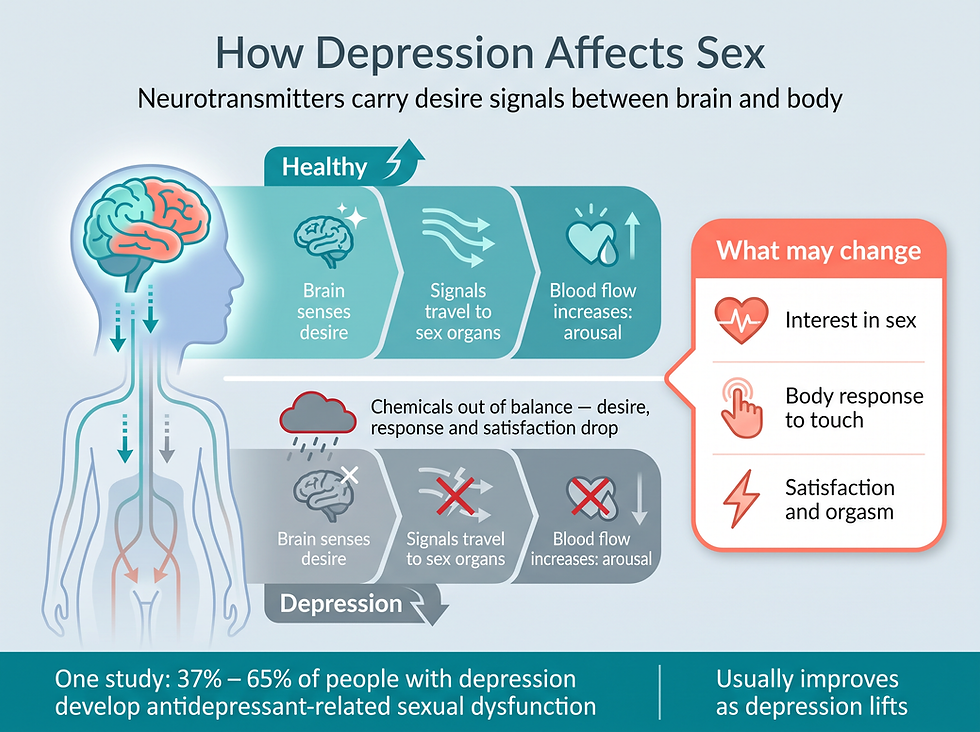 What the depression and sex connection looks like: how neurotransmitter imbalance reduces desire, arousal and satisfaction, and how symptoms usually improve as depression lifts