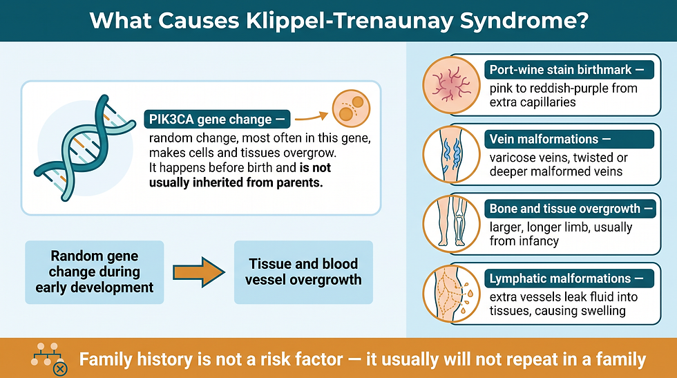 Causes of Klippel-Trenaunay syndrome — PIK3CA gene change and the four main features