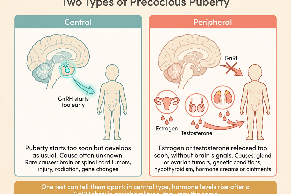Central vs. peripheral precocious puberty: in central type the brain's GnRH signal starts too early while puberty develops normally; in peripheral type estrogen or testosterone is released too soon without brain signals; a GnRH stimulation test distinguishes them