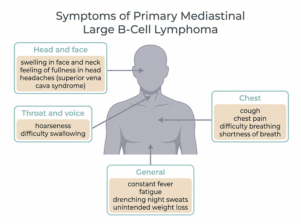 Medical body map infographic showing the symptoms of primary mediastinal large B-cell lymphoma on a human chest and upper body silhouette: head and face (swelling in face and neck, feeling of fullness in head, headaches from superior vena cava syndrome), throat and voice (hoarseness, difficulty swallowing), chest (cough, chest pain, difficulty breathing, shortness of breath), and general symptoms (constant fever, fatigue, drenching night sweats, unintended weight loss).