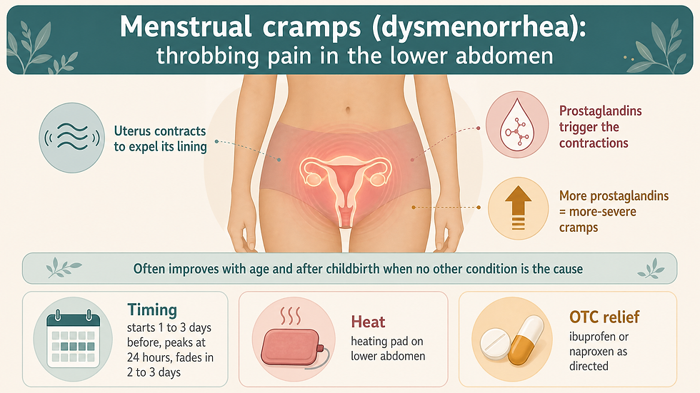 What menstrual cramps (dysmenorrhea) are: throbbing pain in the lower abdomen driven by prostaglandins, which often improves with age and after childbirth when no other condition is the cause.