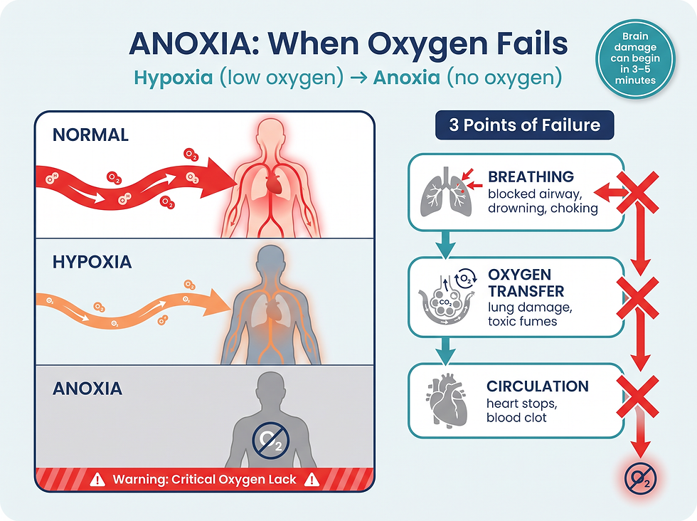 Overview of anoxia mechanism