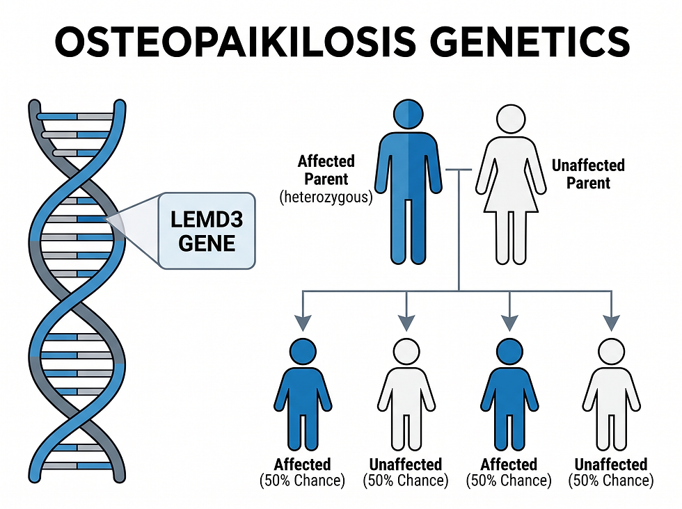 Osteopoikilosis genetics and inheritance