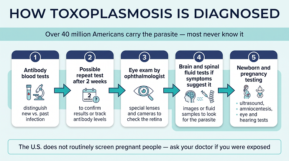 How toxoplasmosis is diagnosed — from antibody blood tests to situation-specific exams for the eye, brain, pregnancy, and newborns