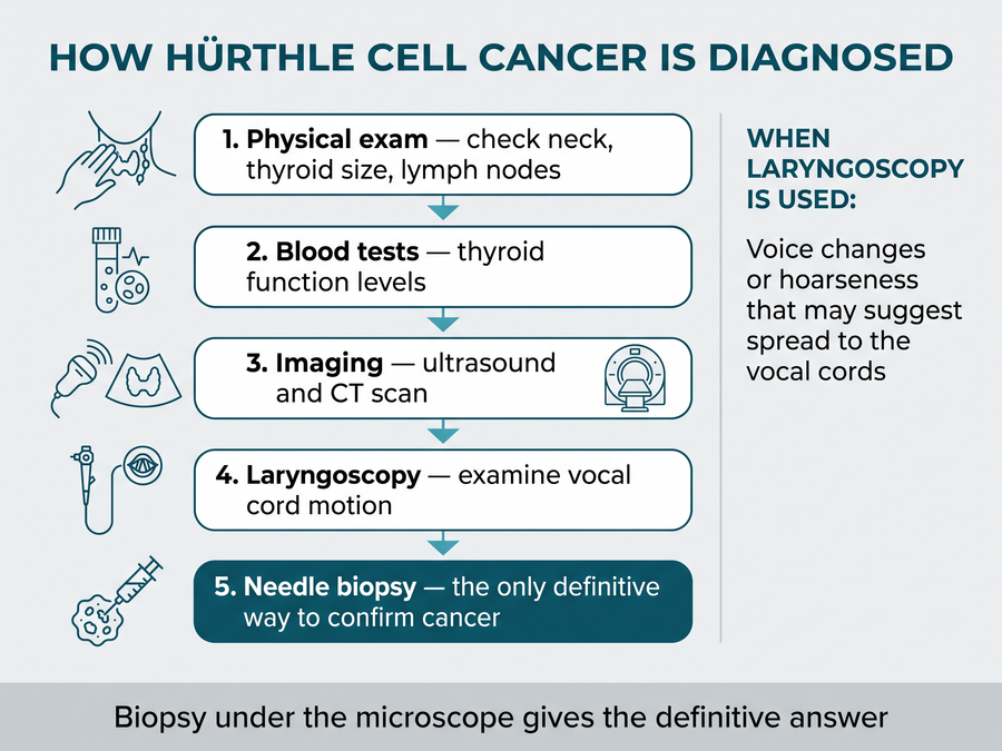 Hürthle cell cancer diagnosis: physical exam, blood tests, imaging (ultrasound and CT), laryngoscopy, and needle biopsy — with biopsy as the definitive step