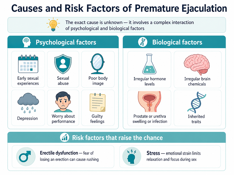Causes and risk factors of premature ejaculation: six psychological factors, four biological factors, and two risk factors that raise the chance, with the note that the exact cause is unknown
