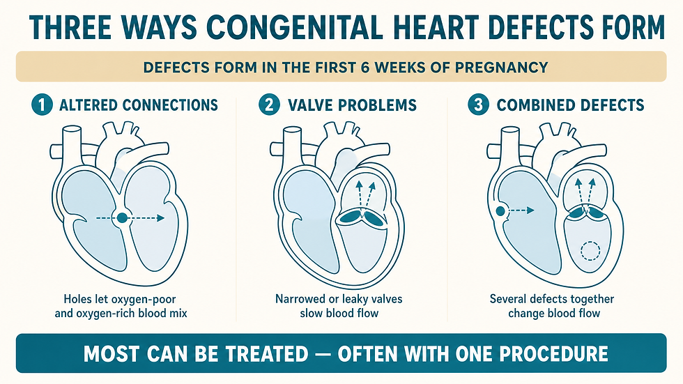 An educational infographic showing three ways congenital heart defects form — altered connections with a hole in the chamber wall, valve problems with a narrowed valve, and combined defects with multiple marked areas — under a banner reading "defects form in the first 6 weeks of pregnancy," with a footer stating "most can be treated — often with one procedure." Image: rinnit.com