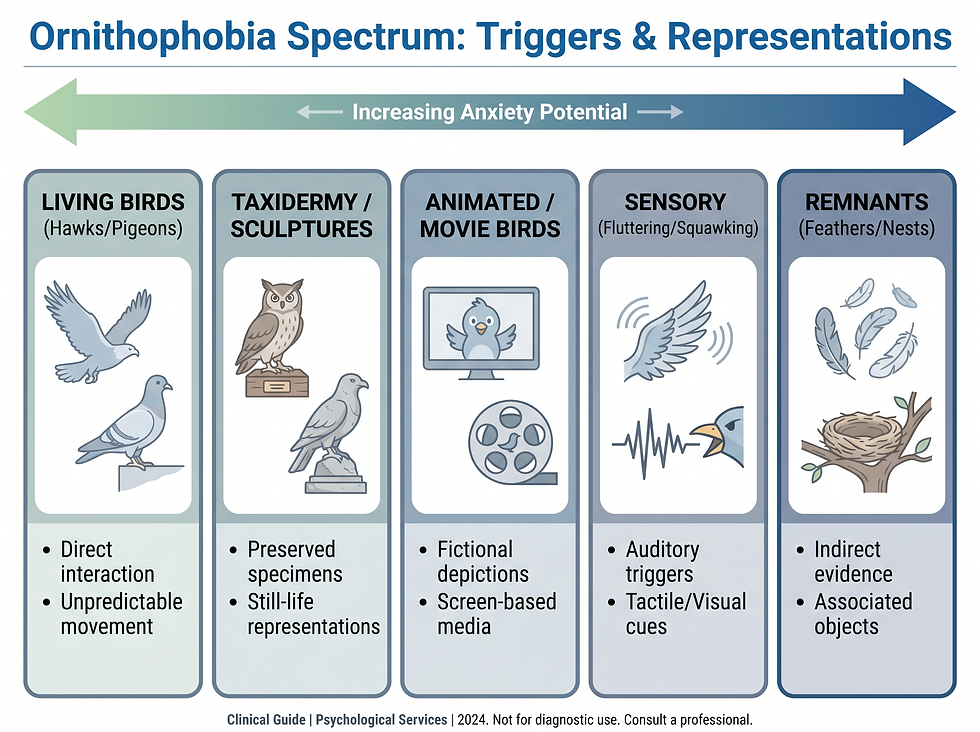 Ornithophobia Spectrum: Triggers and Representations Visual