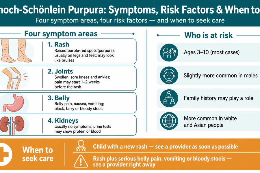 The four symptom areas of henoch-schönlein purpura: rash, joints, belly, and kidneys, plus who is at risk and when to seek care