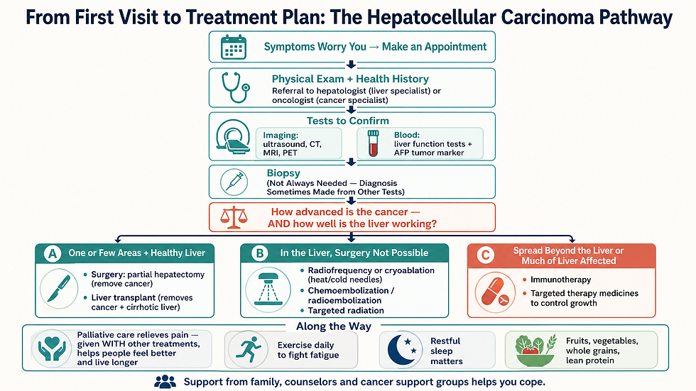 Flowchart showing the hepatocellular carcinoma care pathway from making an appointment through physical exam, imaging and blood tests, biopsy when needed, a decision based on cancer stage and liver function, and three treatment branches: surgery or transplant for localized cancer, ablation and embolization for in-liver cancer that cannot be operated on, and immunotherapy or targeted therapy for cancer that has spread, plus an along-the-way strip covering palliative care, daily exercise, sleep, and a healthy diet.