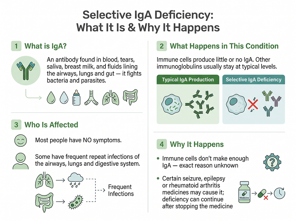 What selective IgA deficiency is, where IgA is normally found, and why the deficiency happens: the missing-antibody mechanism, the affected body surfaces, and the medicine-related cause