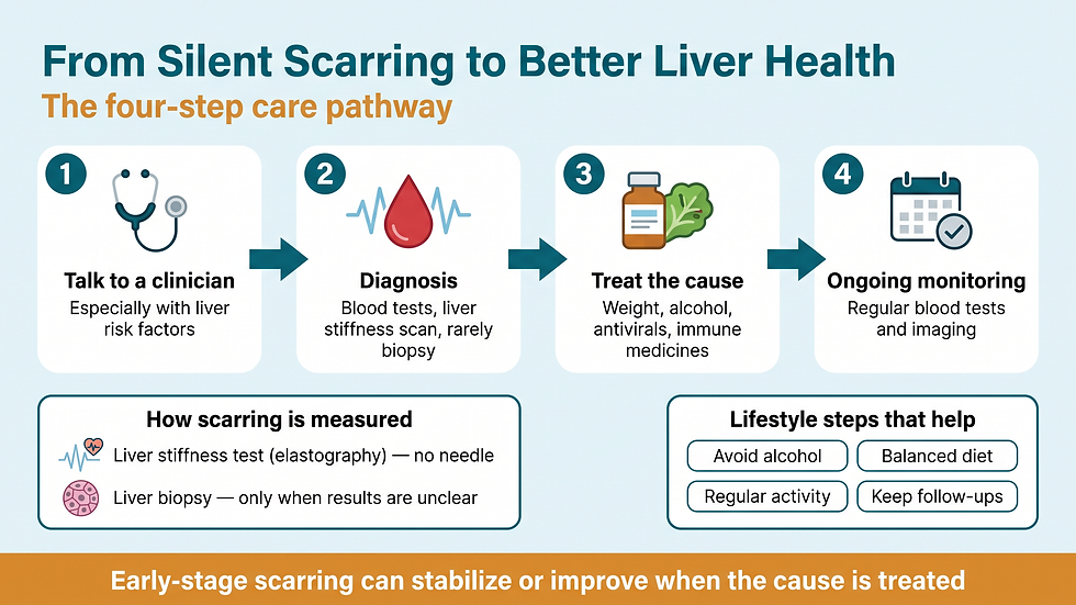 Liver fibrosis diagnosis and treatment pathway: from talking to a clinician through diagnosis, cause-directed treatment, and ongoing monitoring