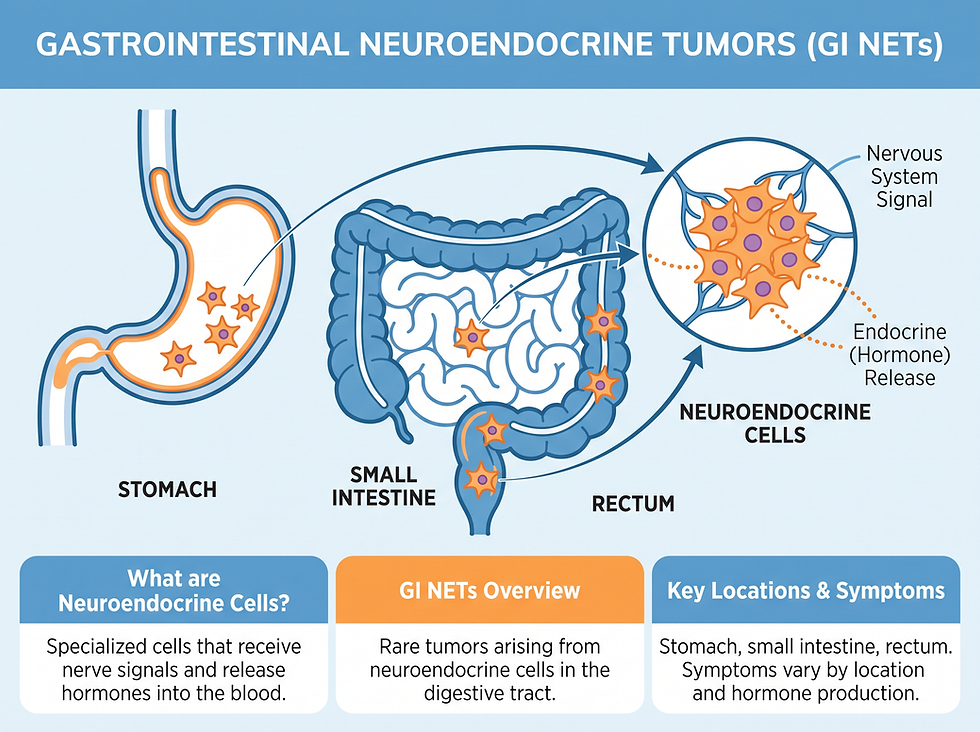 GI NETs Overview: Neuroendocrine Cells in the Digestive System Infographic